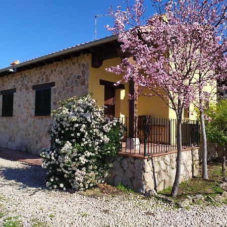 Pago De Yuste - Casa Rural Apartamentos Cuacos De Yuste Dış mekan fotoğraf