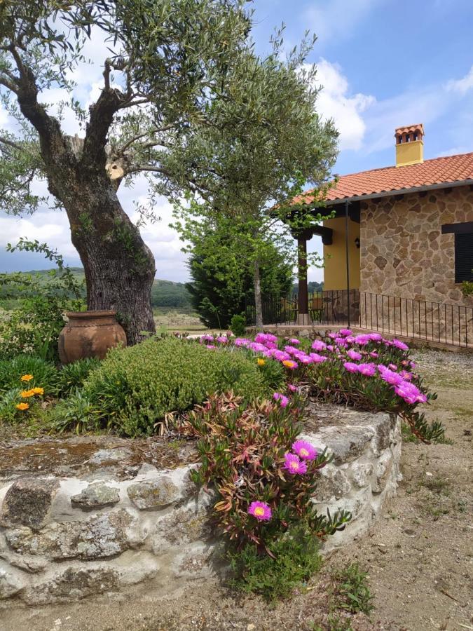 Pago De Yuste - Casa Rural Apartamentos Cuacos De Yuste Dış mekan fotoğraf