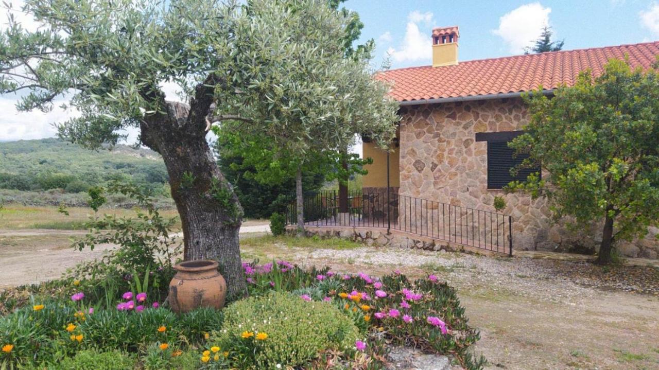 Pago De Yuste - Casa Rural Apartamentos Cuacos De Yuste Dış mekan fotoğraf