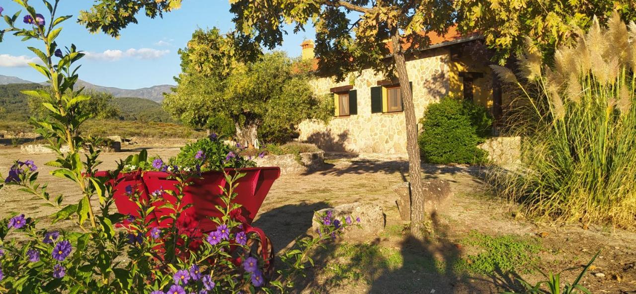 Pago De Yuste - Casa Rural Apartamentos Cuacos De Yuste Dış mekan fotoğraf